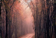 开云下载-法拉利逆转雷诺车队，周冠宇关键制胜