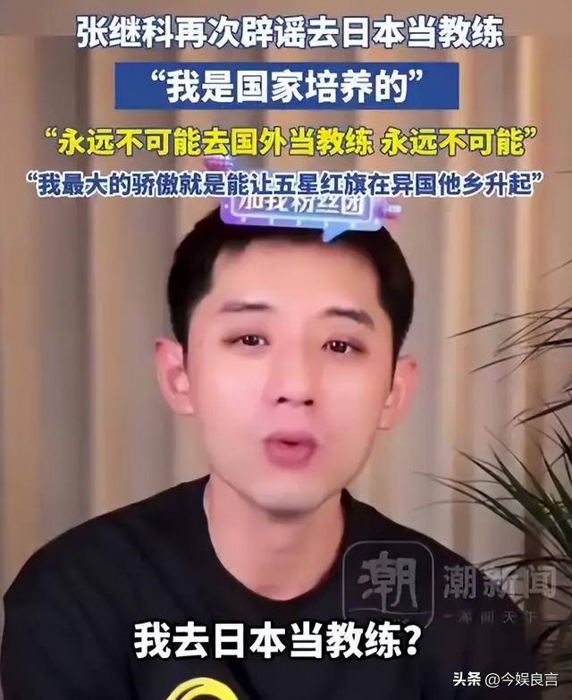 波兰队翻盘日本队，张继科高光表现的简单介绍